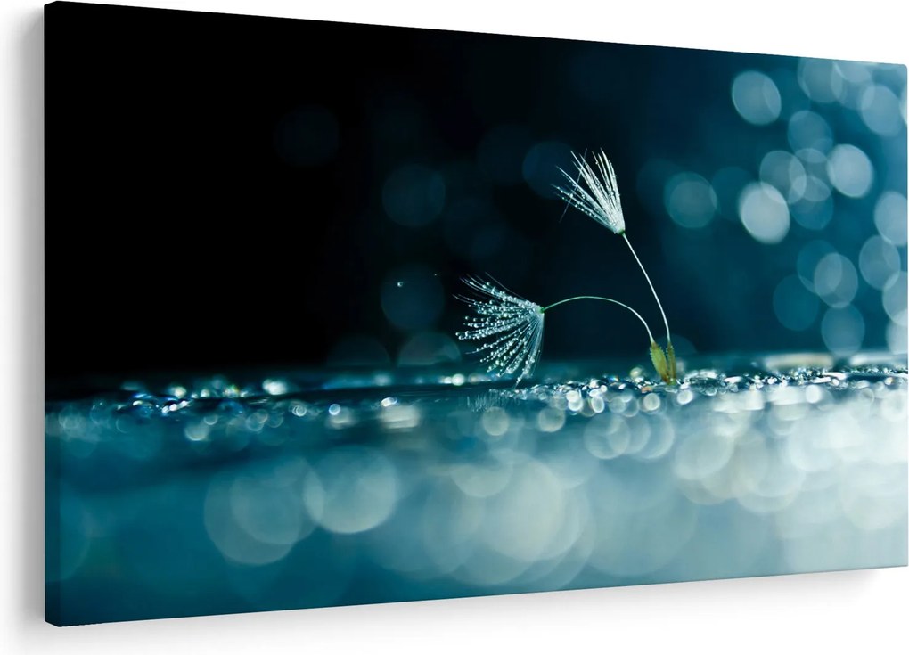 Obraz - Makro (90x60 cm)