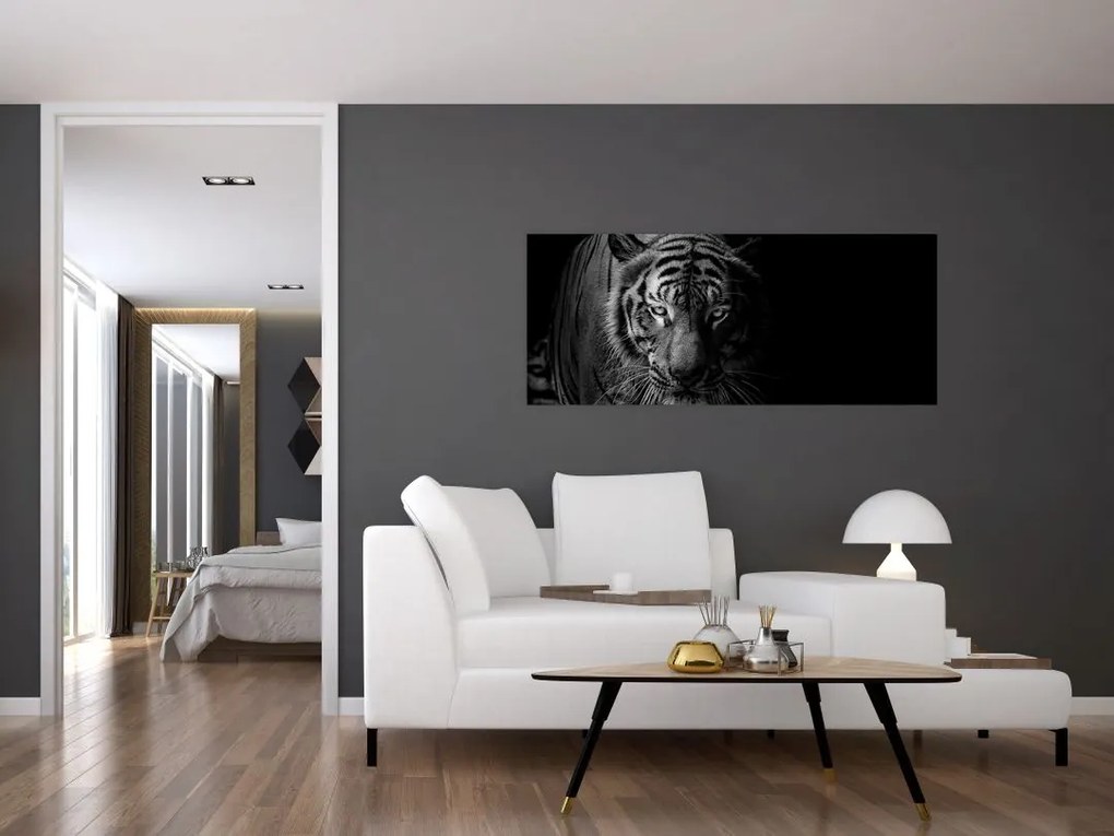 Obraz divokého tigra (120x50 cm)