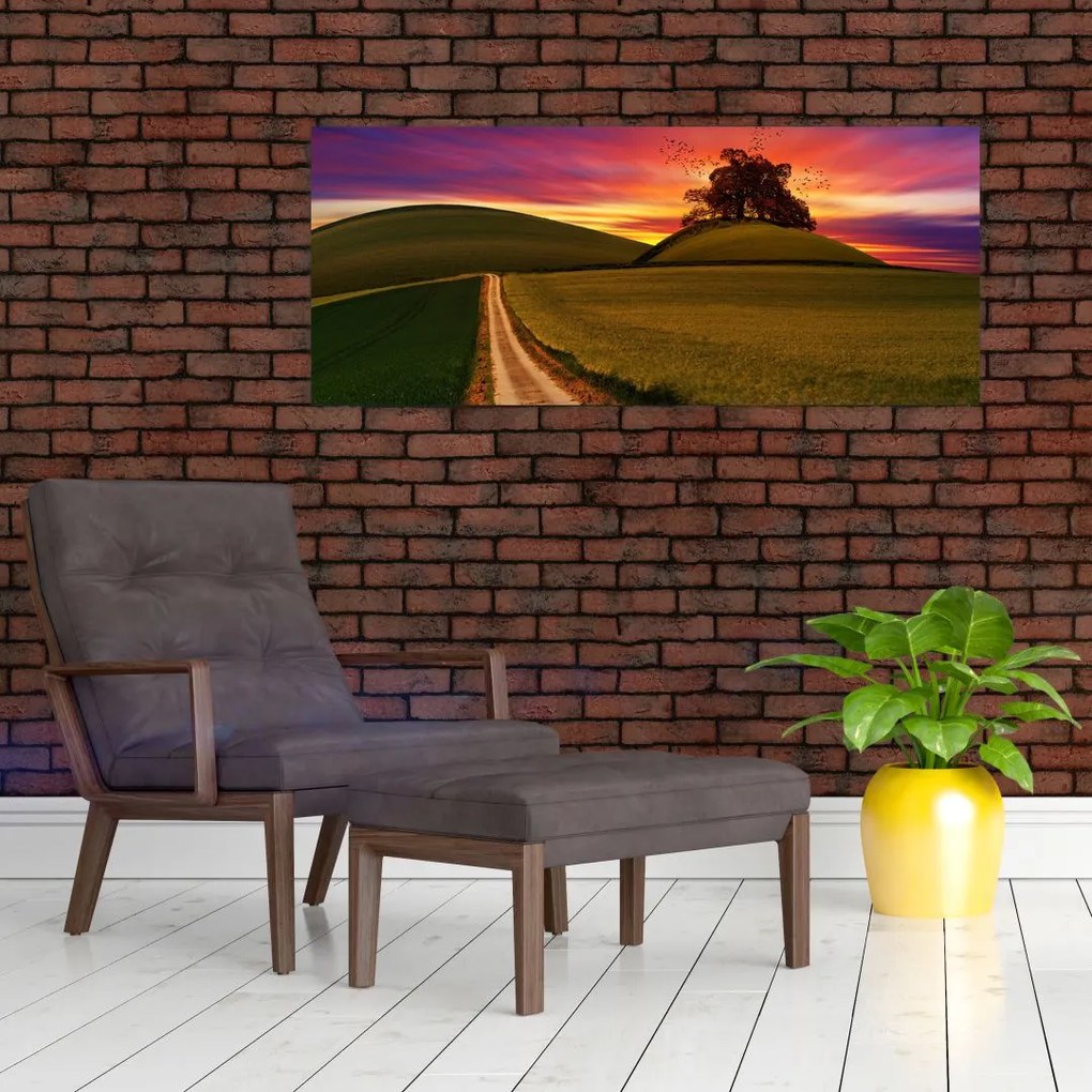 Obraz poľa pri západe slnka (120x50 cm)