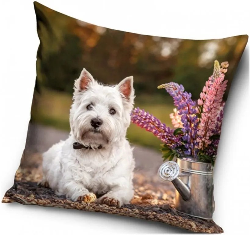 Vankúš s Westíkom - West highland white teriér - 40 x 40 cm