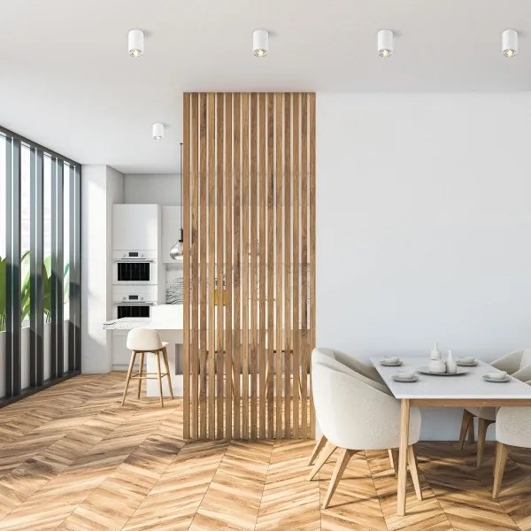 Zuma Line 45519-N - Bodové svietidlo RONDOO 1xGU10/50W/230V biela