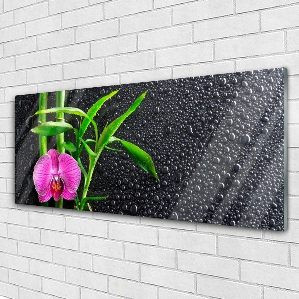 Obraz plexi Bambus kvet kvapky 125x50 cm