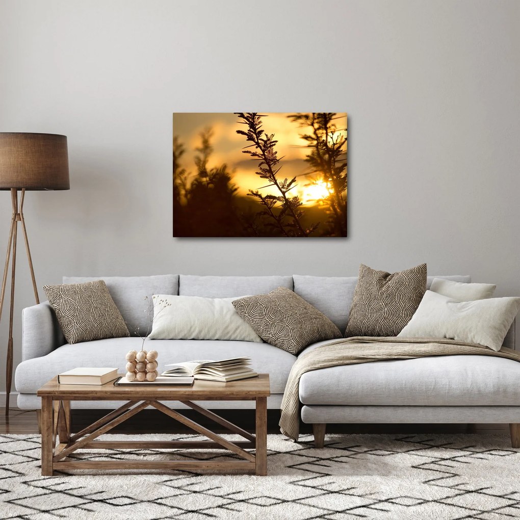 Obraz - Slnko zapadajúce za stromami (70x50 cm)