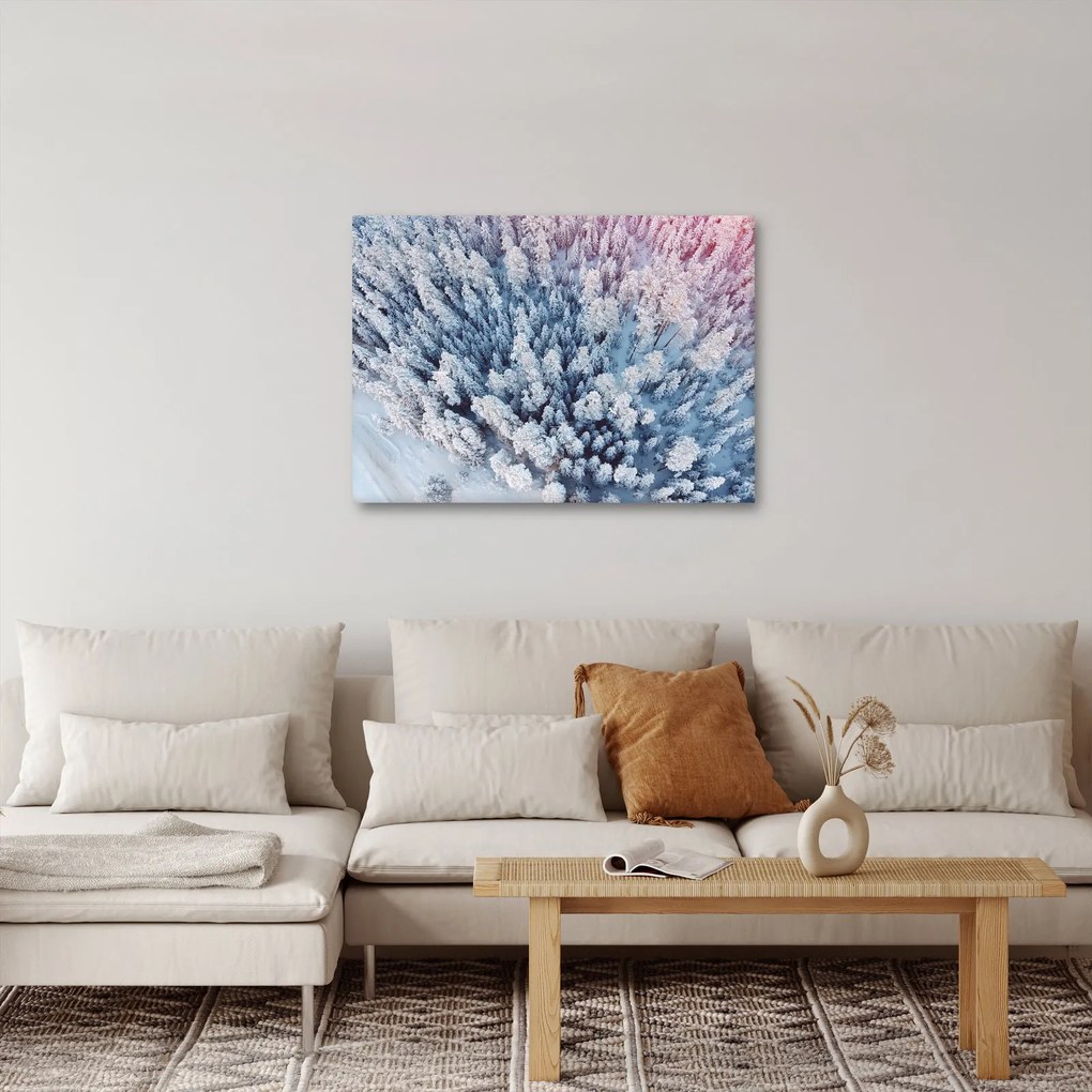 Obraz zasnežených stromov (70x50 cm)