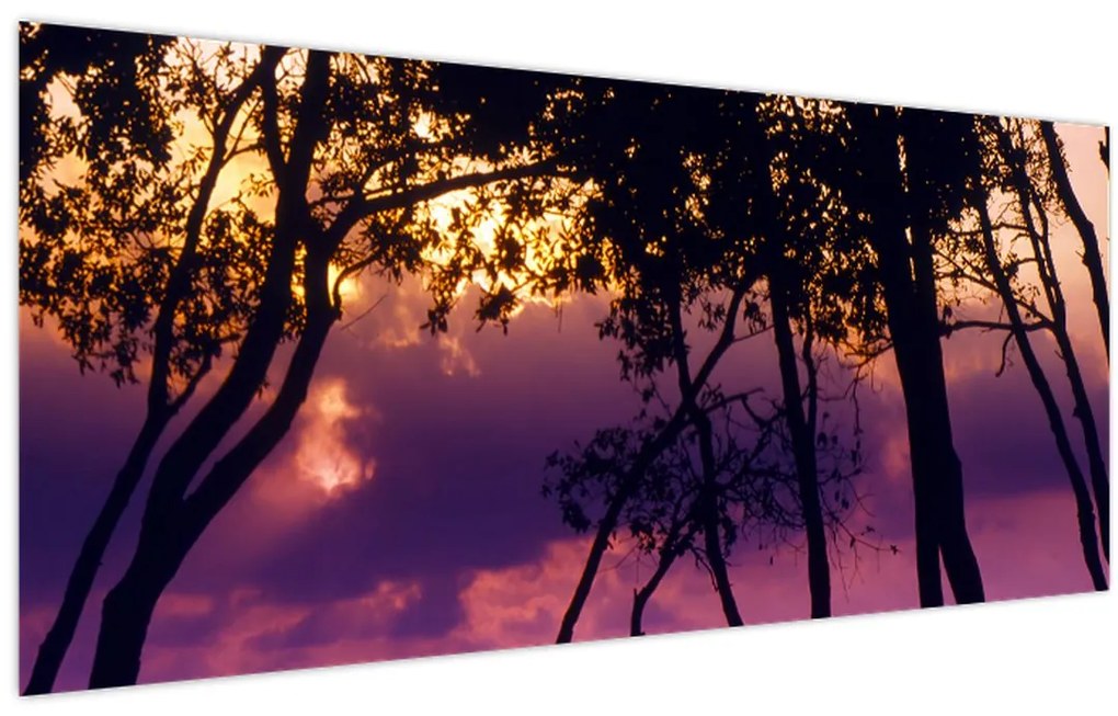 Obraz - Stromy pri západe slnka (120x50 cm)