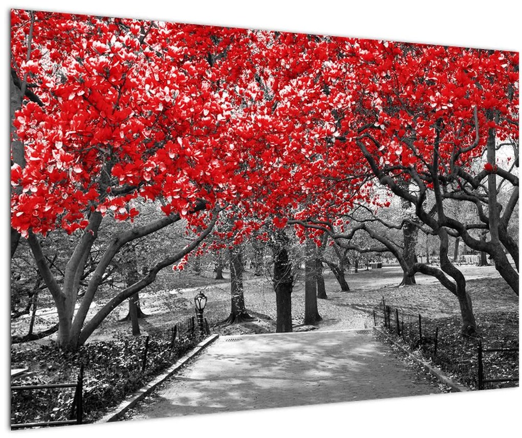 Obraz - Červené stromy, Central Park, New York (90x60 cm)