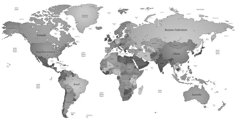 Obraz krásna mapa s čiernobielym nádychom