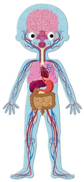 Janod - Detské vzdelávacie puzzle 225 ks ľudské telo