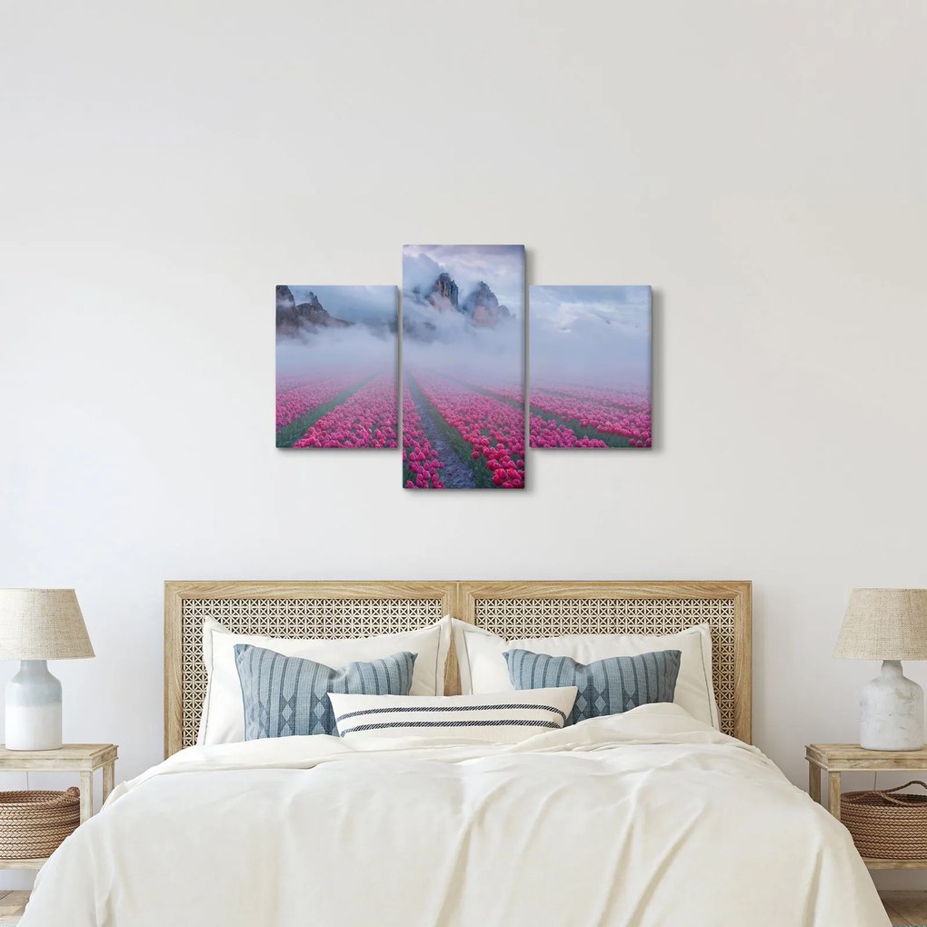 Obraz - Krajina s tulipánovými poľami (90x60 cm)