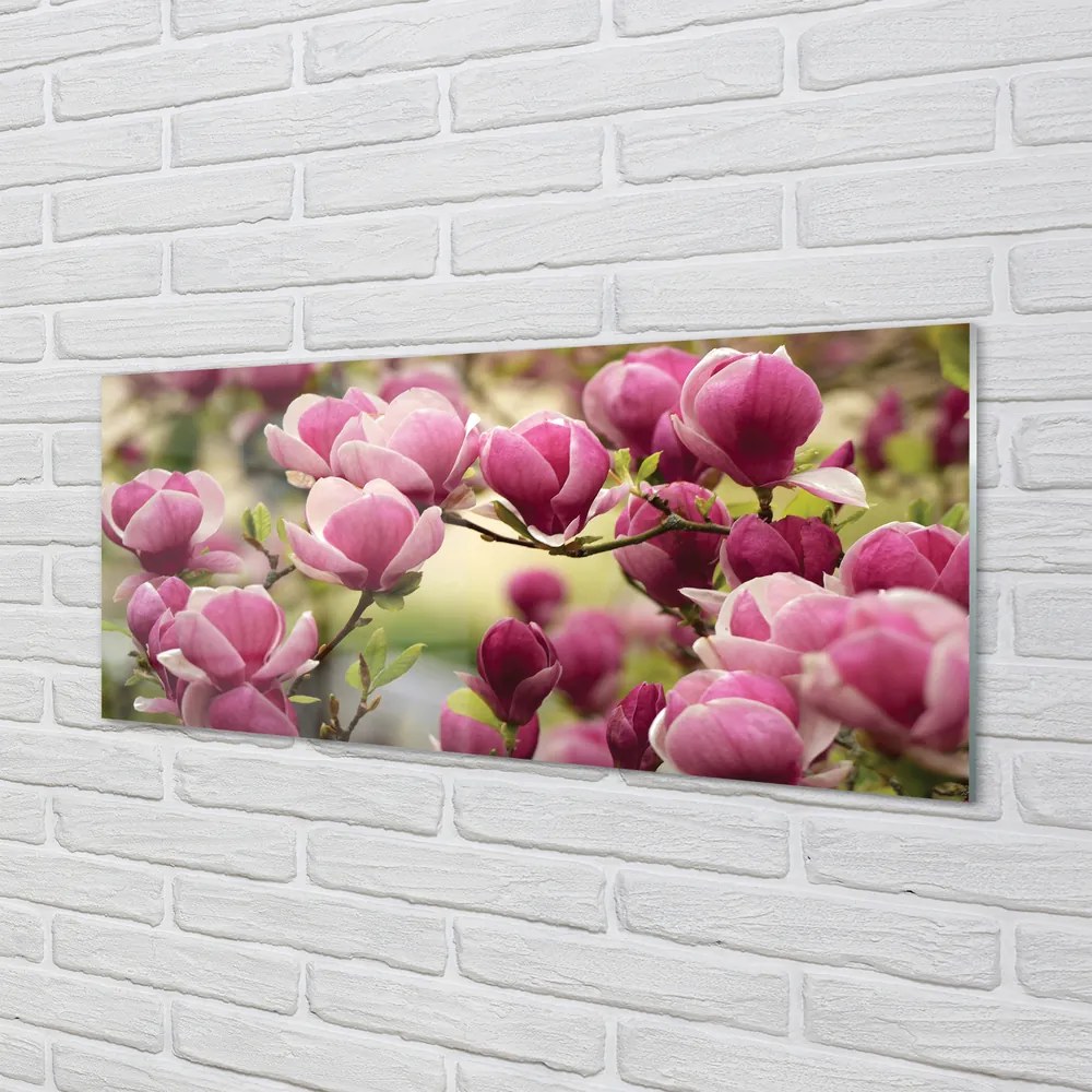 Obraz plexi Kvety 120x60 cm