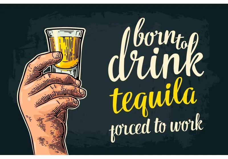 Ceduľa Born To Drink Tequila - Porced To Work