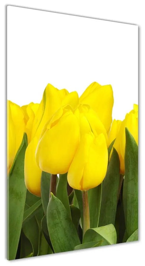 Foto obraz akryl do obývačky Žlté tulipány pl-oa-70x140-f-2665979
