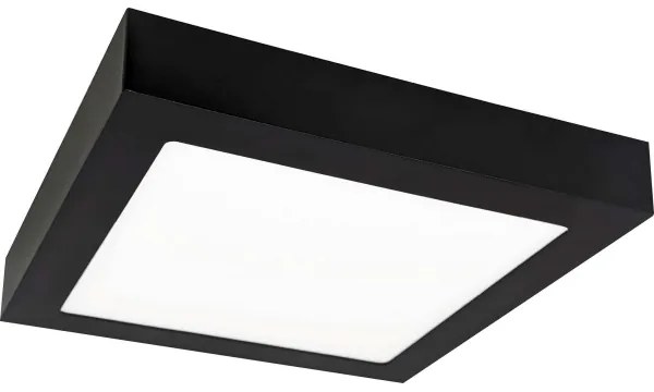 LED Stropné svietidlo FENIX LED/12W/230V 3800K 17 cm