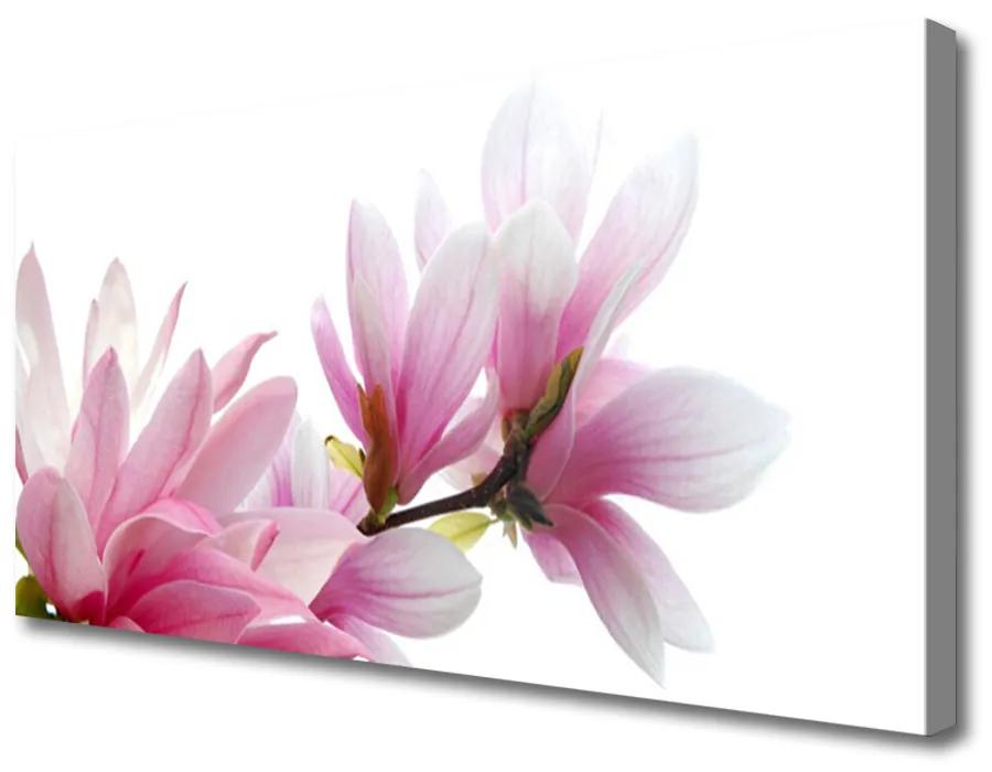 Obraz na plátne Magnolie kvet 100x50 cm