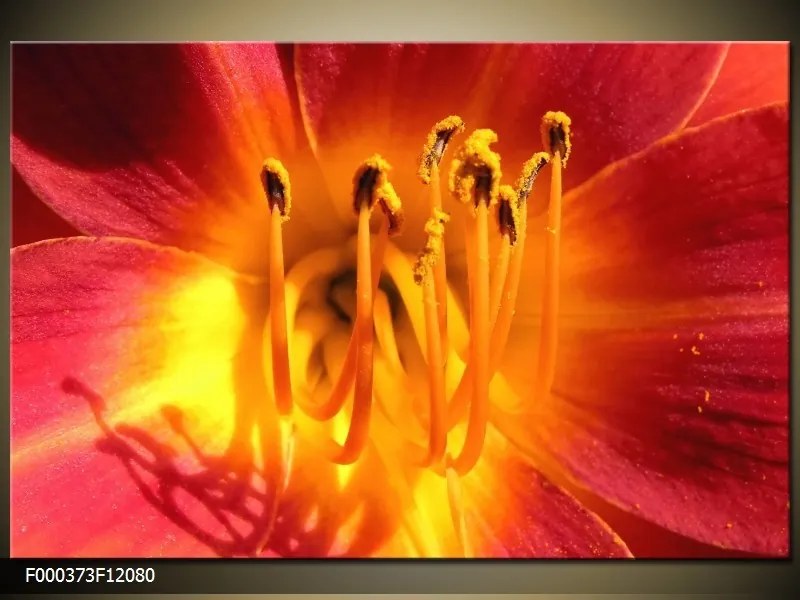 Obraz na plátne Oranžový kvet, Obdĺžnik 120x80cm 87,92 €