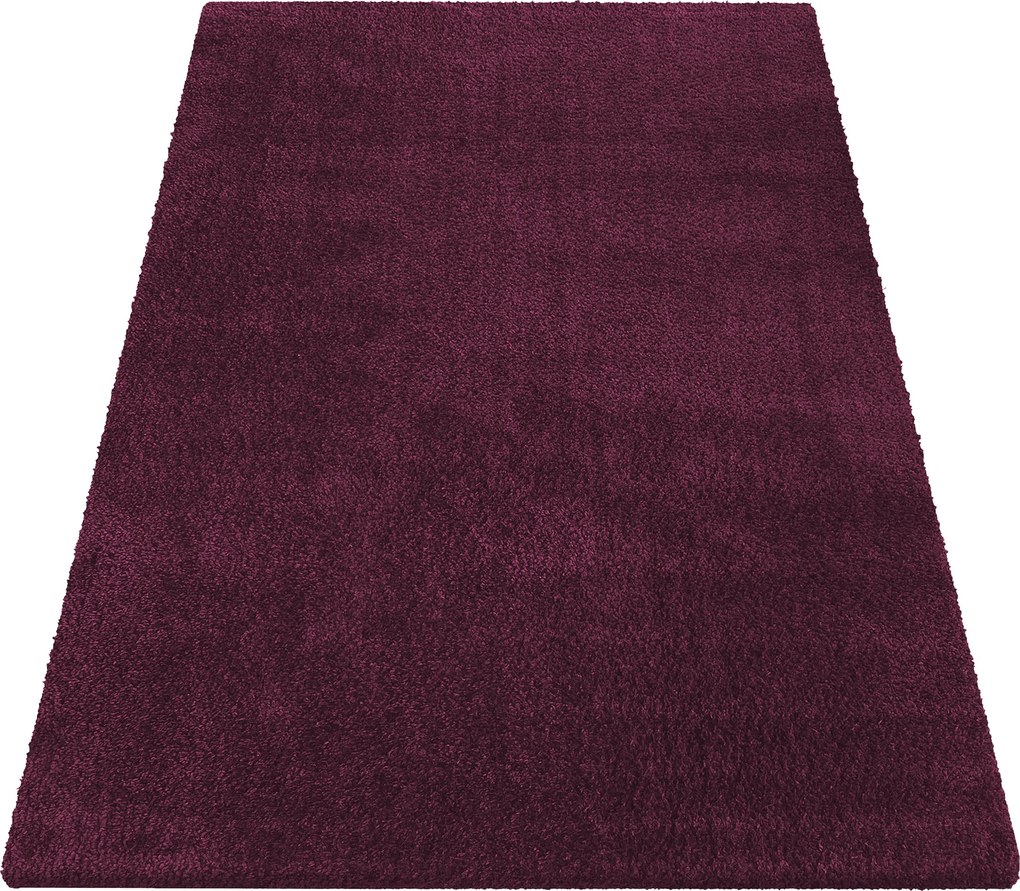 DY Obdĺžnikový fialový shaggy koberec Kamel Rozmer: 60x100 cm