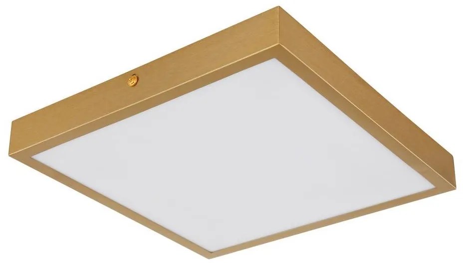 Globo 12382-15 - LED Stropné svietidlo TIBEY LED/15W/230V 25x25 cm