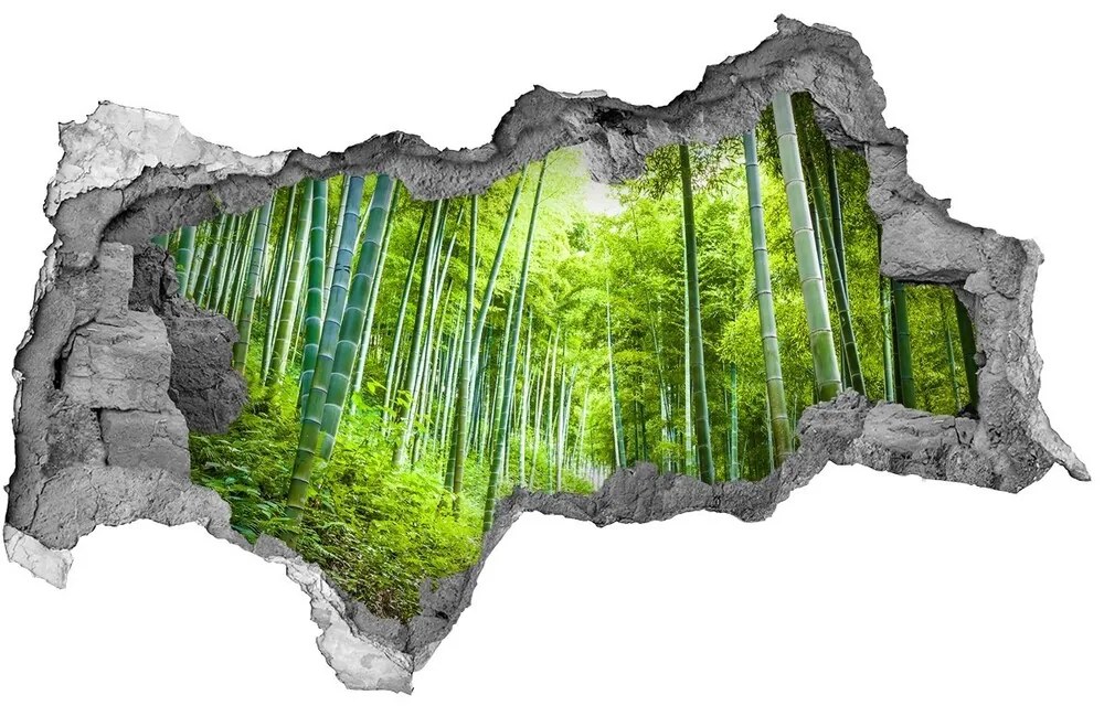 Nálepka fototapeta 3D výhľad Bambusové lesy nd-b-60510509