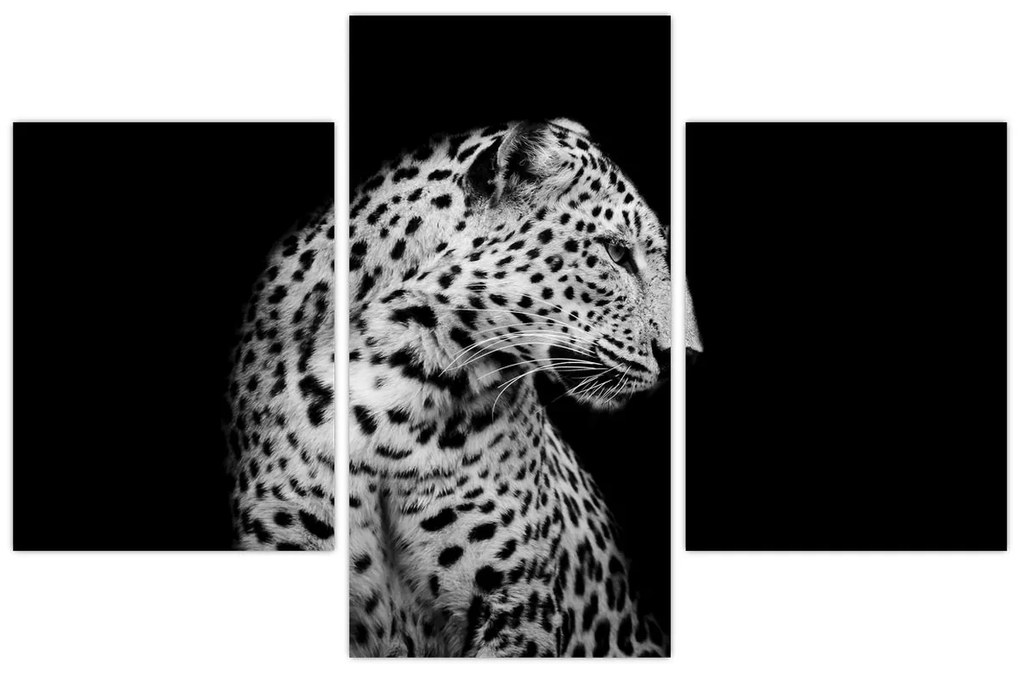 Obraz - Leopard (90x60 cm)