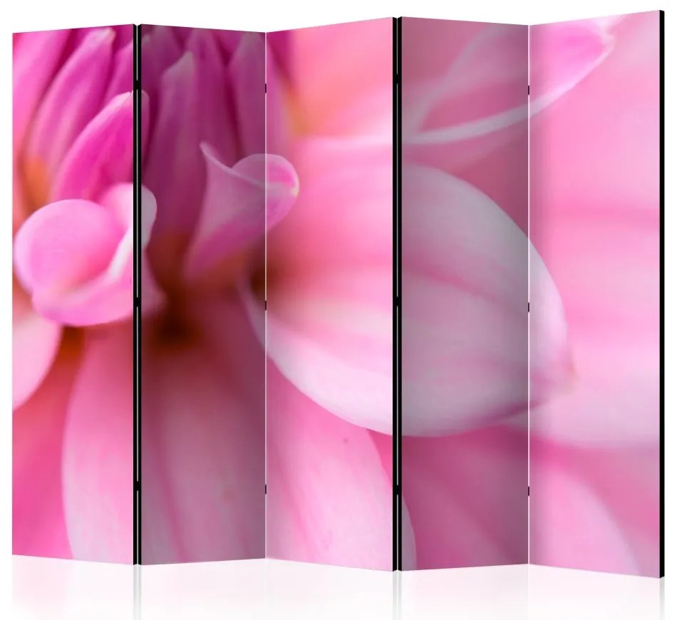 Artgeist Paraván - Flower petals - dahlia [Room Dividers]