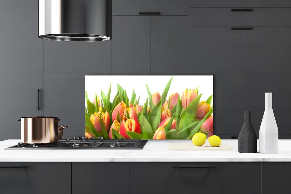 Sklenený obklad Do kuchyne Tulipány kvety rastlina 100x50 cm