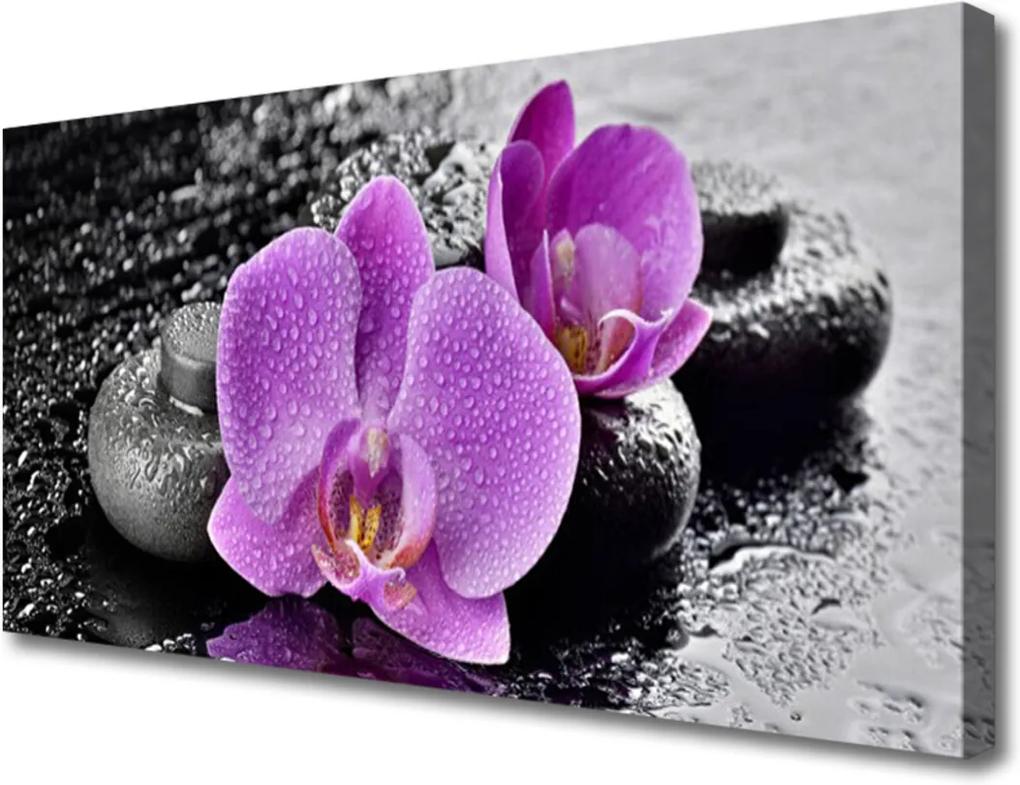 Obraz Canvas Orchidej květiny kameny zen
