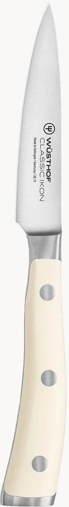 Nôž na ovocie z nehrdzavejúcej ocele Classic Icon