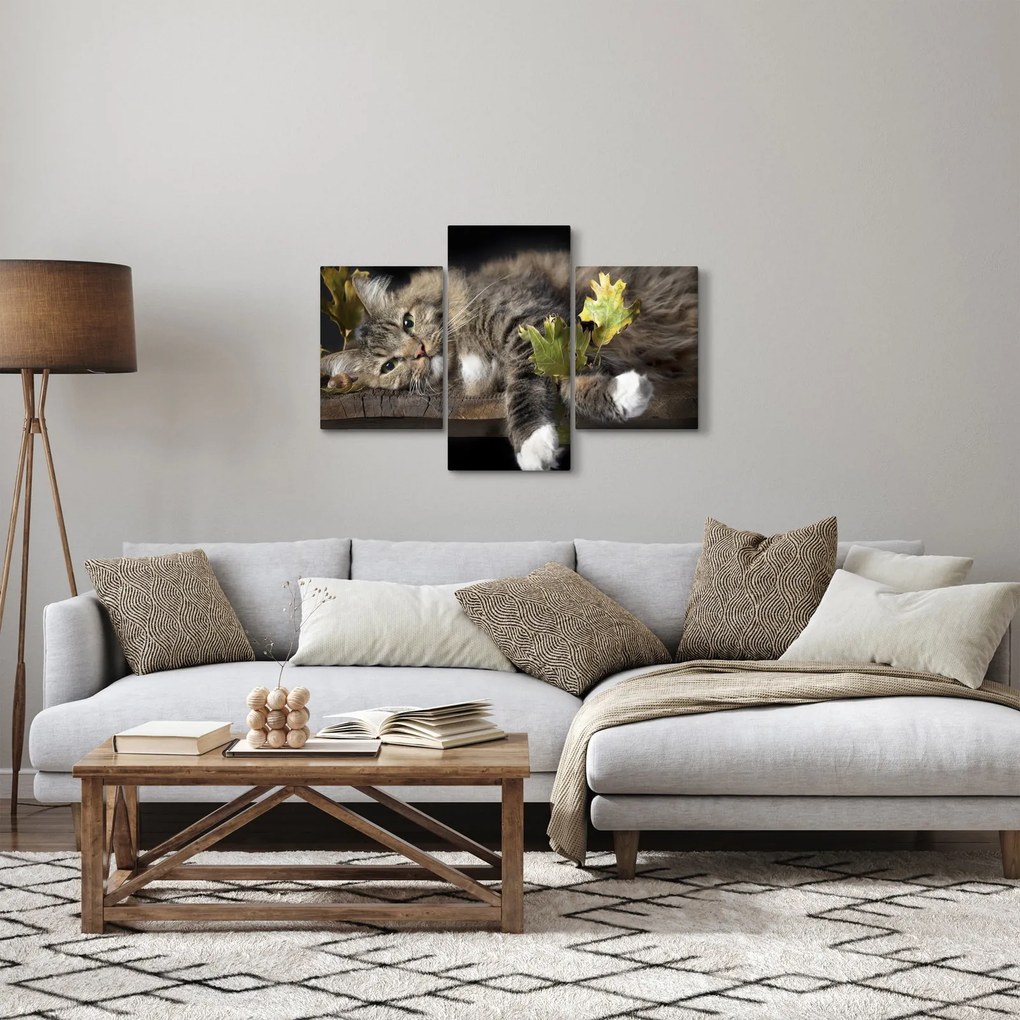 Obraz - Ležiaca mačka (90x60 cm)