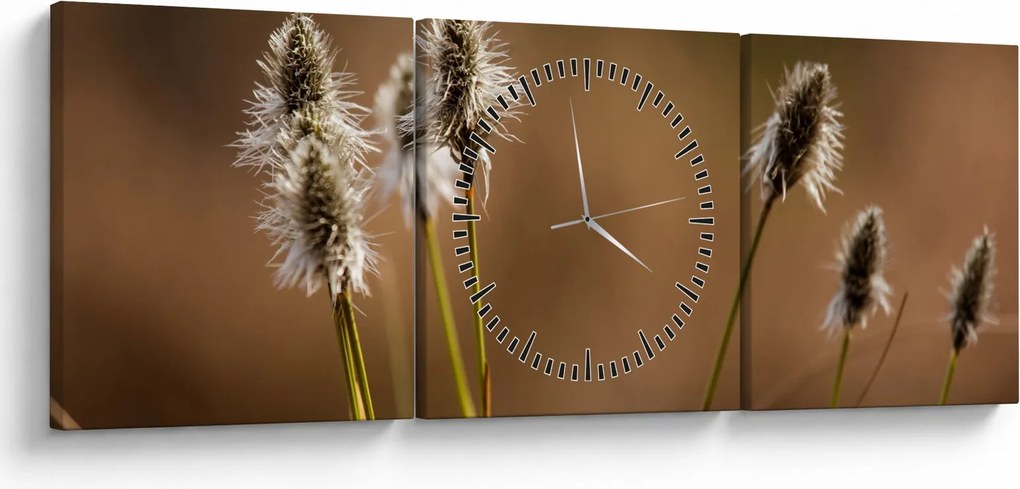 Obraz - Travina (s hodinami) (90x30 cm)