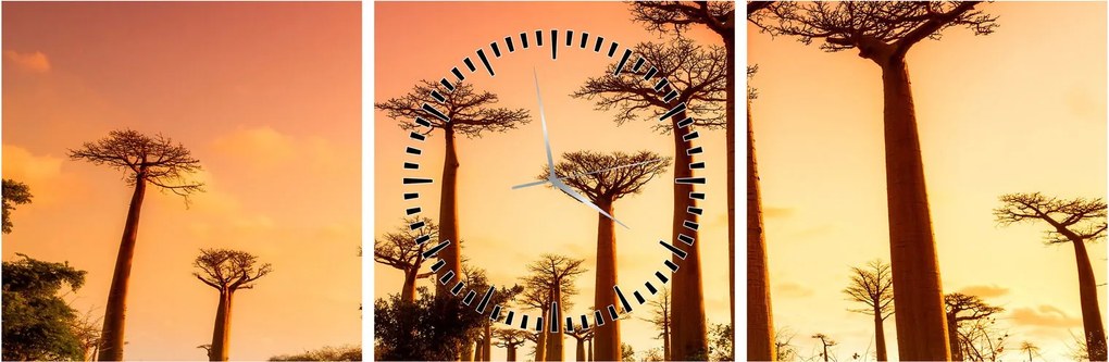 Obraz - Západ slnka v uličke Baobab (s hodinami) (90x30 cm)