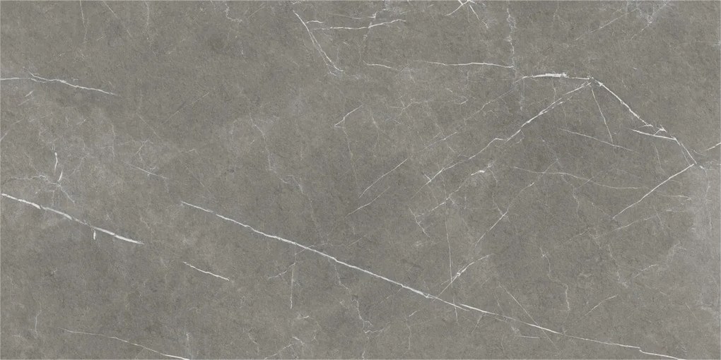 Dlažba Eternal Dark Natural 60x120 R