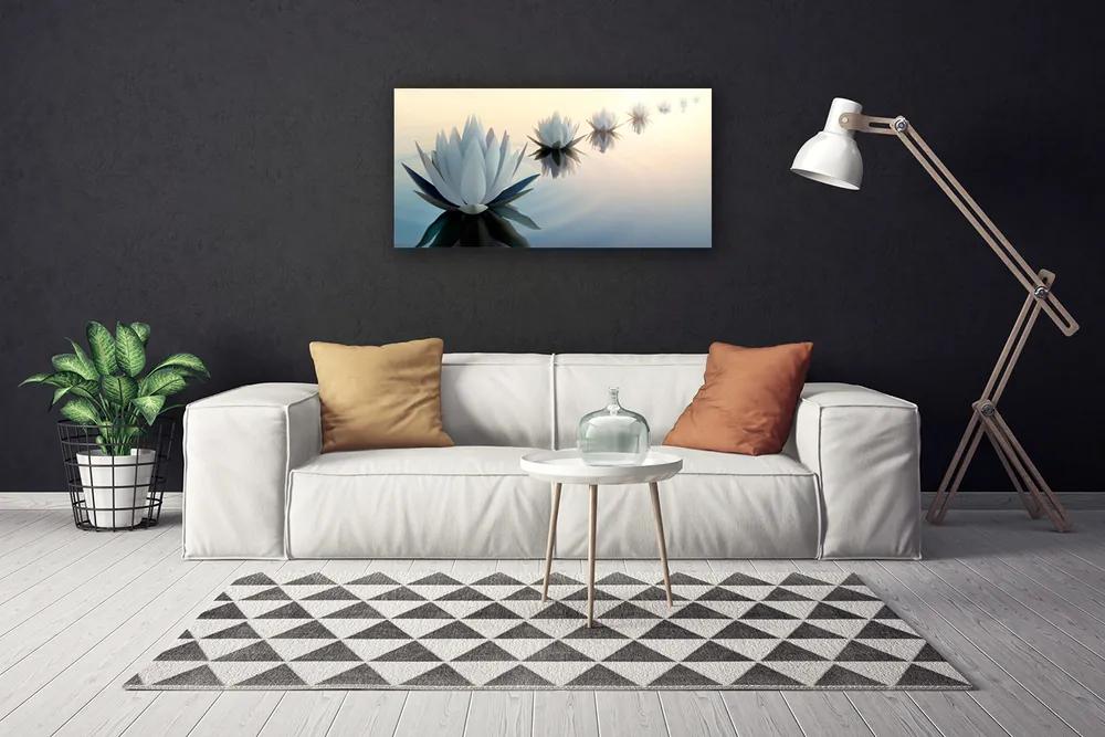 Obraz Canvas Vodné lilie biely lekno 125x50 cm
