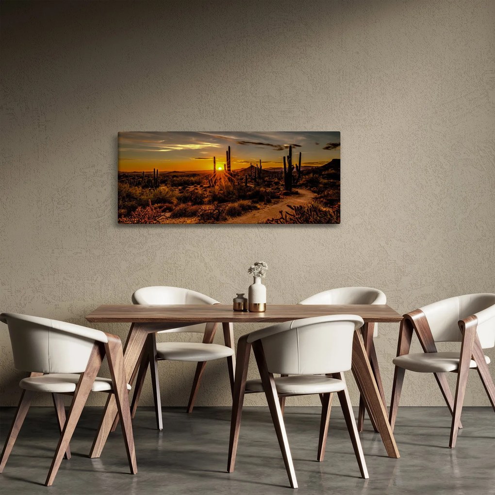 Obraz - Koniec dňa v arizonskej púšti (120x50 cm)