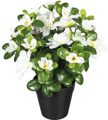 Umelá rastlina azalka 24 kvetov biela 26 cm v plastovom kvetináči 10 x 9 cm