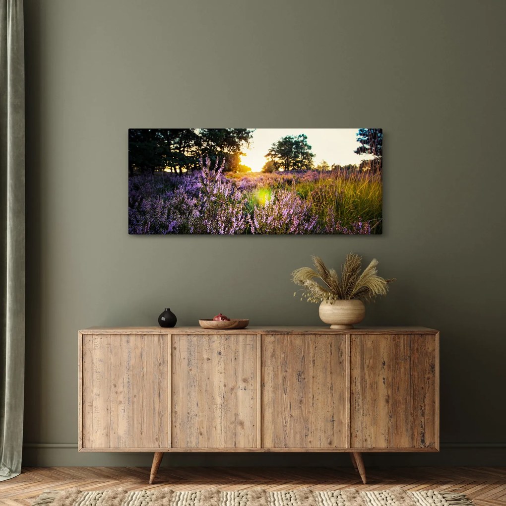 Obraz poľa levanduľou (120x50 cm)