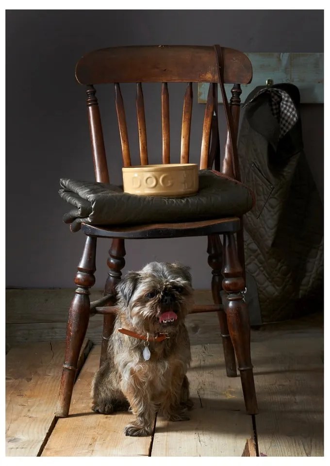 Kameninová miska pre psov Mason Cash Dog Cane, ø 25 cm