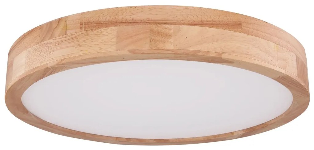 Globo 41745-24 - LED Stmievateľné stropné svietidlo RAINER LED/24W/230V + DO