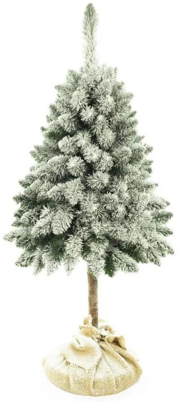 TRENDIE Vianočný stromček Borovica zasnežená na pníku 220 cm