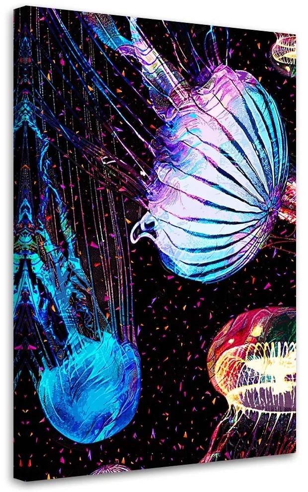 Gario Obraz na plátne Farebná abstrakcia medúzy - Gab Fernando Rozmery: 40 x 60 cm