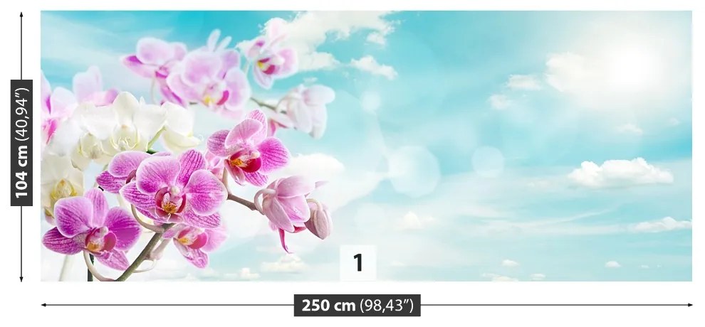 Fototapeta Vliesová Orchidey modrá 152x104 cm