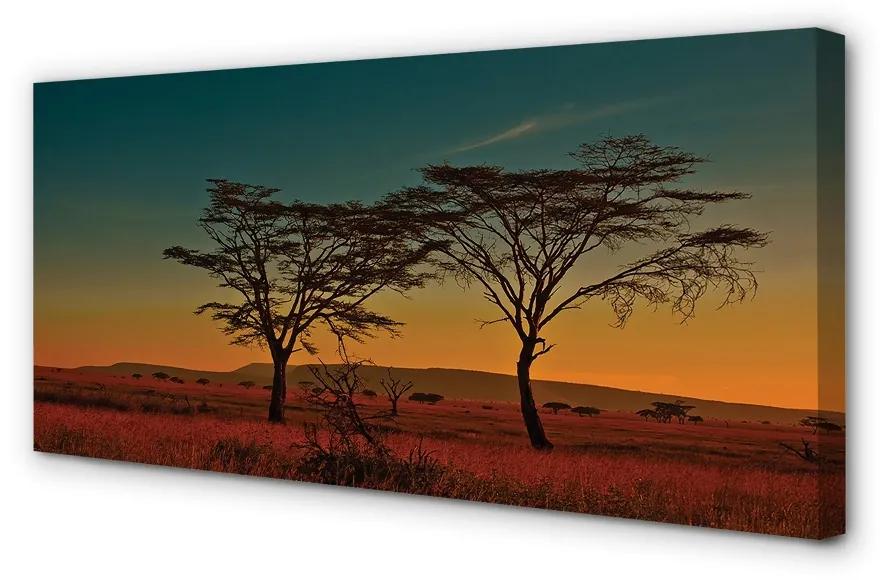 Obraz canvas oblohy stromu 125x50 cm