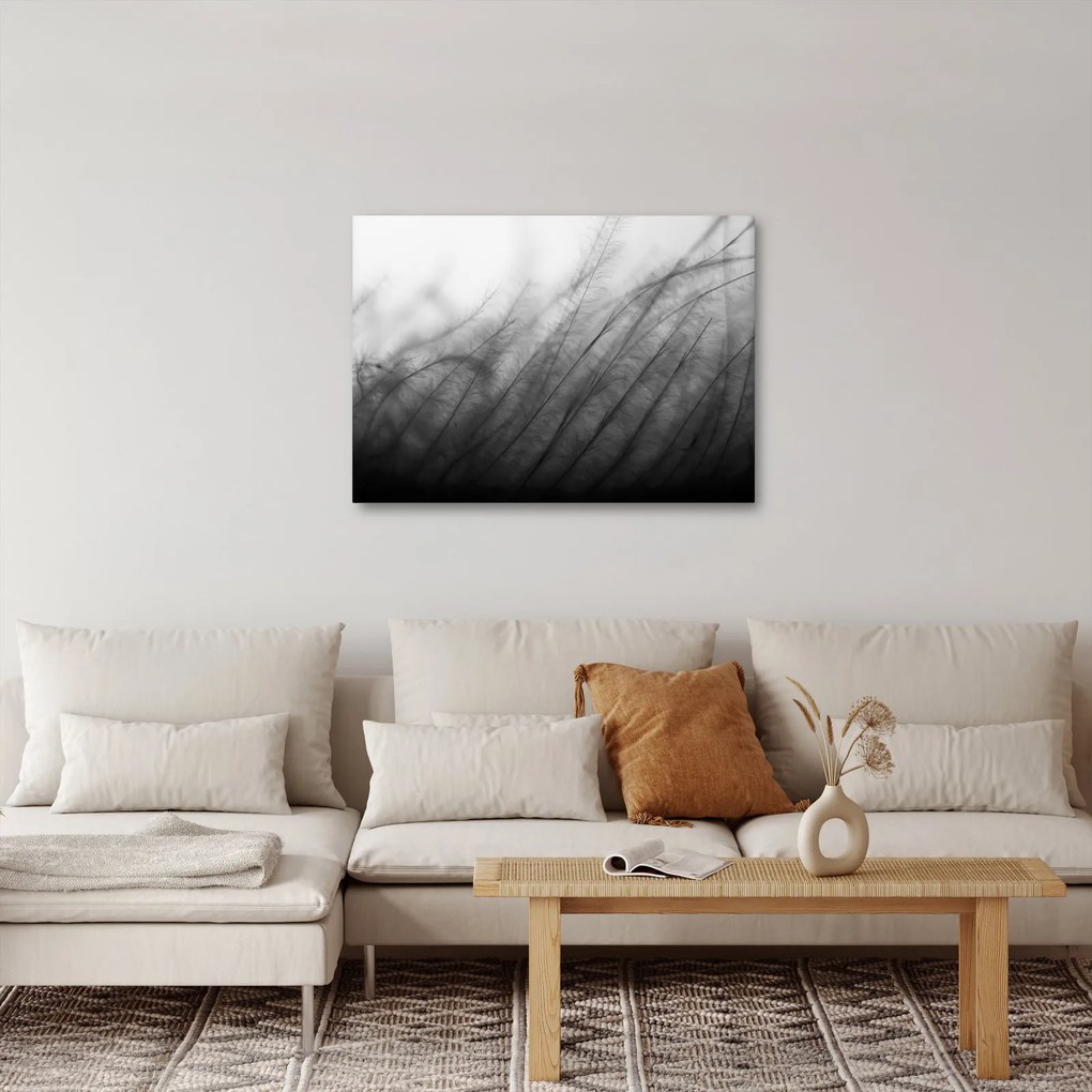 Obraz - Tráva vo vetre (70x50 cm)
