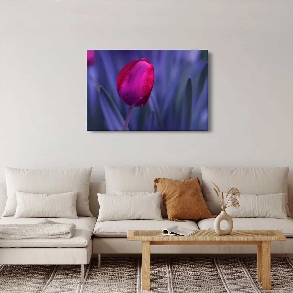 Obraz pupete tulipánu (90x60 cm)
