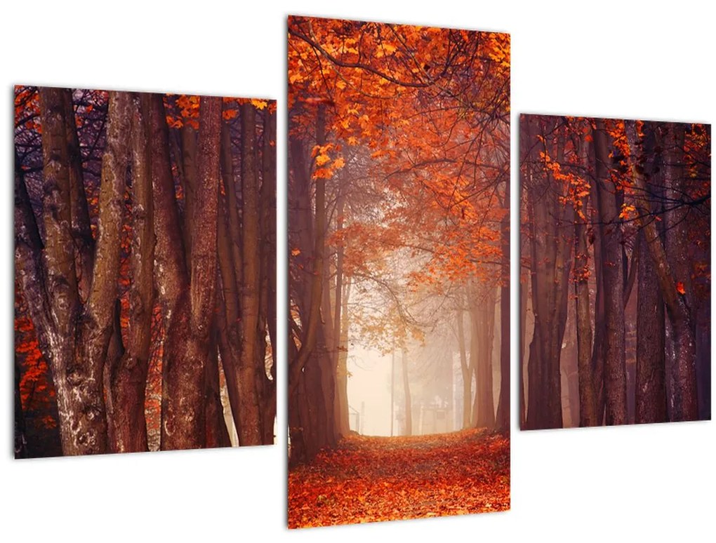 Obraz - Jesenné les (90x60 cm)