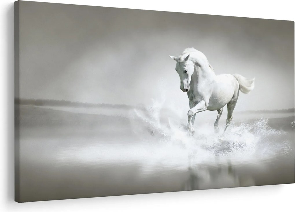 Obraz - Biely kôň (90x60 cm)