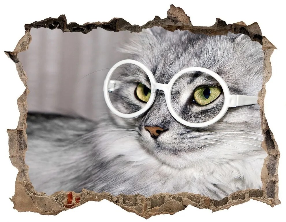 Díra 3D fototapeta nálepka Mačka s okuliarmi nd-k-115959381