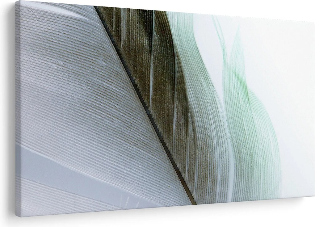Obraz - Perie, makro (90x60 cm)