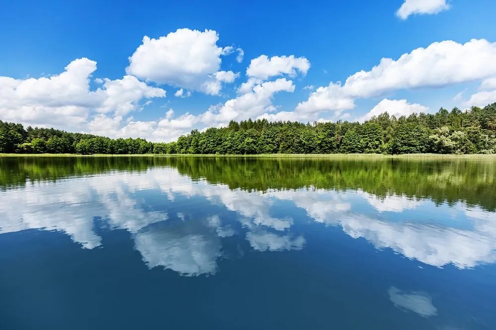 Fototapeta príroda v letnom období