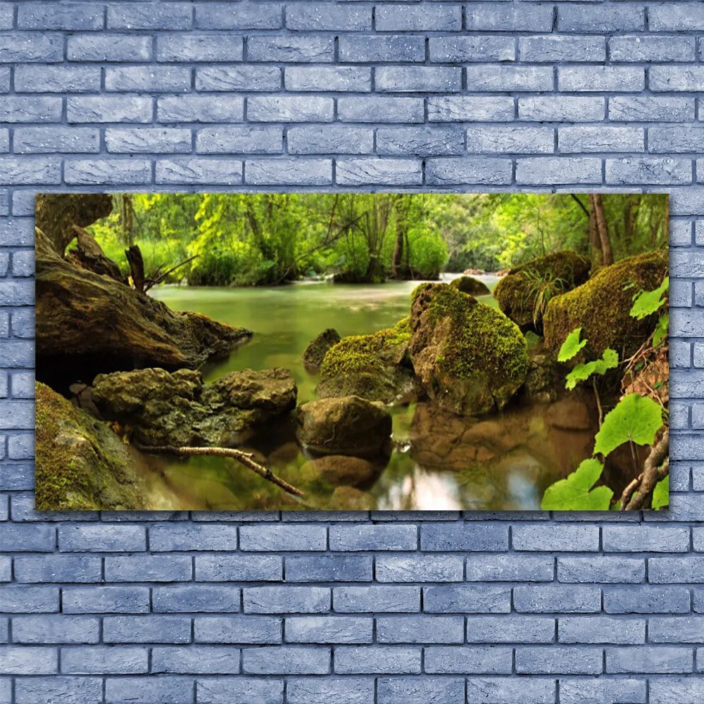 Obraz na akrylátovom skle Skala jazero príroda 120x60 cm