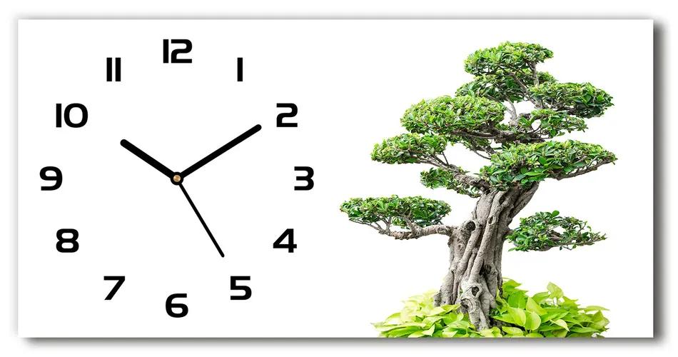 Vodorovné Sklenené hodiny na stenu tiché Strom bonsai pl_zsp_60x30_f_88907159